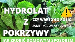 Hydrolat z pokrzywy Jak zrobić domowym sposobem Czy warto go robić Jakie ma właściwości [upl. by Einna]