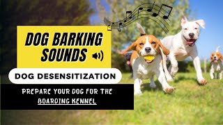 Desensitizing Sounds for dogs  BARKING SOUNDS  How to prepare your dog for boarding kennel [upl. by Nella587]