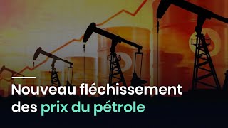 Nouveau fléchissement des prix du pétrole [upl. by Ssidnac]