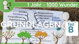 📚 1 Jahr  1000 Wunder  Grundlagen Teil B Pflanzen AufbauTeile  BotanikGrundlagenWissen [upl. by Schaper52]