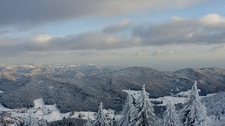 Drohnenvideo So märchenhaft sieht das verschneite Südbaden aus [upl. by Audrye226]