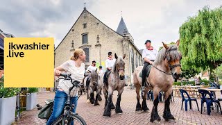 Belgische Trekpaarden in SintPaulus Paardenprocessie afgeslankt in 2021  ikwashierlive in Opwijk [upl. by Samaria]