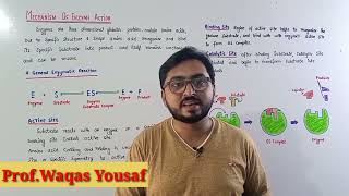 Mechanism of Enzyme action  Enzymology [upl. by Atinnor]