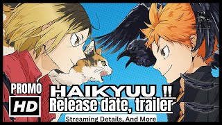 Haikyuu movie Release date trailer streaming details and more [upl. by Eohce]