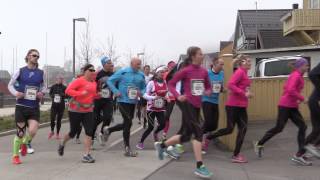 Holmestrand Maraton 2015 Hel og halvmaratonfeltet etter ca 400 meter [upl. by Akirdnwahs]