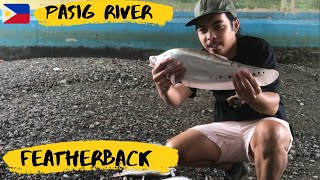 I Hooked a Massive Invasive Knifefish  Fishing in the Philippines  Ep40 [upl. by Cowie]