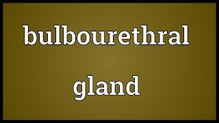 Bulbourethral gland Meaning [upl. by Kowalski241]