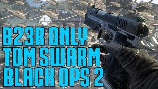 B23R TDM SWARM [upl. by Akimit]