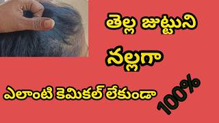 మునగాకు తో హెయిర్ పాక్white hair to black hair naturally [upl. by Alexandre]