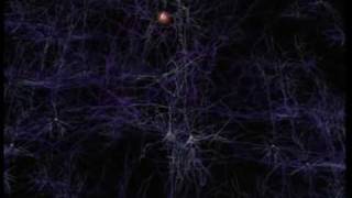 Neurons and how they work [upl. by Roscoe]