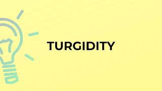 What is the meaning of the word TURGIDITY [upl. by Ailec]