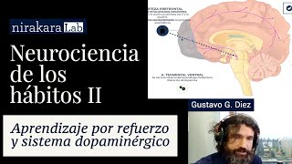 Neurociencia de los Hábitos II  Aprendizaje por refuerzo y sistema dopaminérgico [upl. by Rosita292]