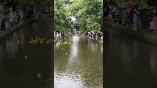 Bourtononthewater  you can see complete video on my YouTube channel and enjoy your moment 🌳☘️🍀 [upl. by Tshombe568]