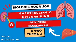 6 vwo  Gaswisseling amp Uitscheiding  8  De nieren regeling pH [upl. by Meensat]