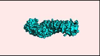 Mouse betacatenin ctnnb1 structure [upl. by Rosalynd]