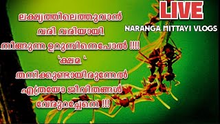 വിജയo നമ്മളെ തേടിവരാൻ ക്ഷമ എന്നാ രണ്ടു അക്ഷരം വളരെ important ആണ് ലൈഫിൽ 💖 [upl. by Bocoj]