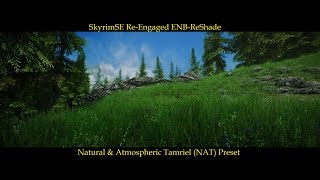 SkyrimSE ReEngaged ENBReShade NAT Ultimate PresetV29 [upl. by Aneram]