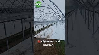 Protech oval tube polytunnels and tabletops [upl. by Lyon17]