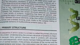 Proteinslippincott Chapter 2 [upl. by Borchers]