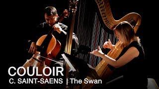 Camille SaintSaëns The Swan  Couloir [upl. by Nageam]