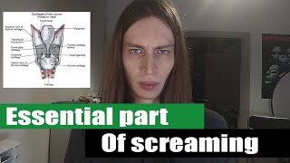 The thing youre missing in your screams  arytenoid cartilage screaming tutorial [upl. by Esiouqrut]