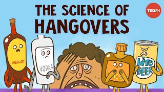 How does alcohol cause hangovers  Judy Grisel [upl. by Sean]