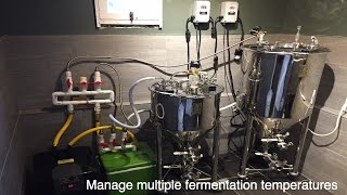 Ultimate way to Control Fermentation [upl. by Natehc]