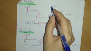 ✅ Biochimie Les Glucides Partie 5 Les Osides  La Nomenclature [upl. by Atiran]