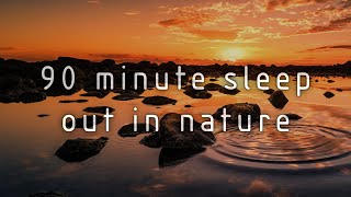 90 MINUTE SLEEP OUT IN NATURE – Screen darkens to low orange light at 5 minutes [upl. by Adoree]