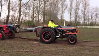 Massey Ferguson 135  Tractor Pull [upl. by Ahsekad]