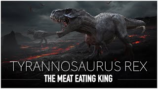 Tyrannosaurus Rex The Scariest amp Most Feared Dinosaur to Walk The Earth  Dinosaur Documentary [upl. by Ettenel]