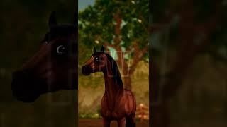 SSO Memes  2 Truths and 1 Lie starstable starstableonline starstablehorses sso ssoedit [upl. by Ahsirtap]