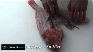 Rascasse en filet [upl. by Ak]