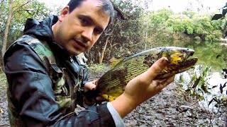 Pesca de invierno en el arroyo Guaviyú Uruguay [upl. by Atter]