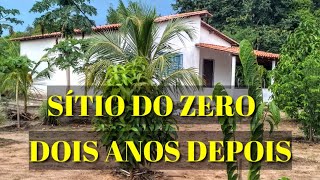 MOSTRANDO TUDO COMO ESTÁ O SÍTIO DO ZERO DEPOIS DE DOIS ANOS [upl. by Drews158]