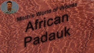 African Padauk  Mitchs World of Woods [upl. by Atiniuq]