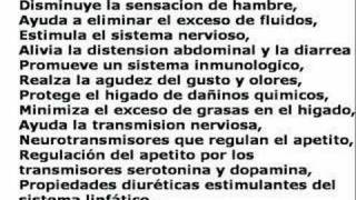 PERDIDA DE PESO CORTO PLAZO TOTALMENTE NATURAL ELITE SVELTE [upl. by Eenat]