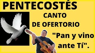 Canto de Ofertorio para quotPentecostésquot Pan y Vino ante Tí🕊️🎼🎶🙋🎼 [upl. by Dicks]