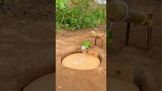 Awesome Effective Creative Parrot Trap youtubeshorts [upl. by Lehrer999]