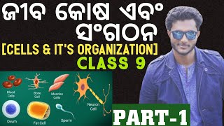 ଜୀବ କୋଷ ଏବଂ ଏହାର ସଂଗଠନ  CELLS AND ITS ORGANIZATION  CLASS 9 LIFE SCIENCE CHAPTER2 IN ODIA [upl. by Aelanej47]