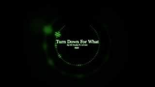 DJ Snake ft Lil Jon  Turn Down for What OFFICIAL [upl. by Leyameg453]