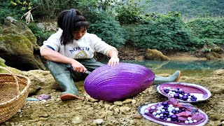 The water emitted a strange light and the girl discovered a huge purple clam filled with wealth [upl. by Markiv]