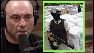 Joe Rogan  Mexican Drug Cartels Are There Any Solutions wIoan Grillo [upl. by Avehstab422]