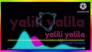 yalili yalila full song slowed reverb best song yalili yalila [upl. by Eelana958]