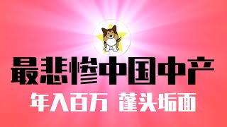 全世界最悲惨中产：房价腰斩年入百万、蓬头垢面！中国到底需要什么样的中产阶层？到底有没有希望？ [upl. by Brag]