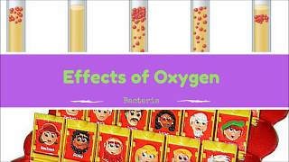 Effects of Oxygen on Bacteria Microbiology [upl. by Brunn]