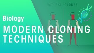 Modern Cloning Techniques  Genetics  Biology  FuseSchool [upl. by Mafalda]