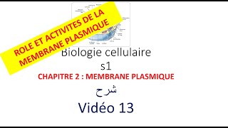 biologie cellulaire s1 vidéo 013  la membrane plasmique شرح [upl. by Neveda]