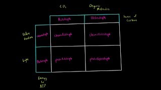 Autotrophs vs Heterotrophs and Chemotrophs vs Phototrophs Introduction Biology Metabolism MCAT [upl. by Alameda]