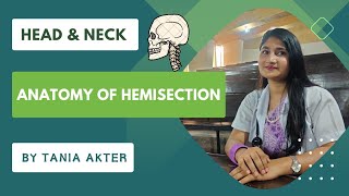 Anatomy of Hemisection of Head amp Neck  Bangla Demonstration of Hemisection  Viscera of Hemisection [upl. by Akihc]